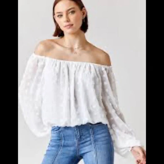 Francesca's Mi Ami Haden Oversize Swiss Dot Blouse